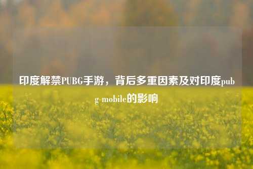 印度解禁PUBG手游,背后多重因素及对印度pubg mobile的影响