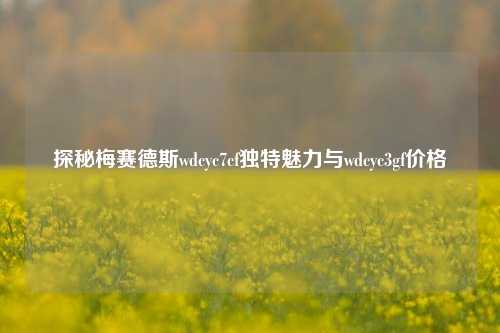 探秘梅赛德斯wdcyc7cf独特魅力与wdcyc3gf价格