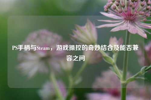 PS手柄与Steam,游戏操控的奇妙结合及能否兼容之问
