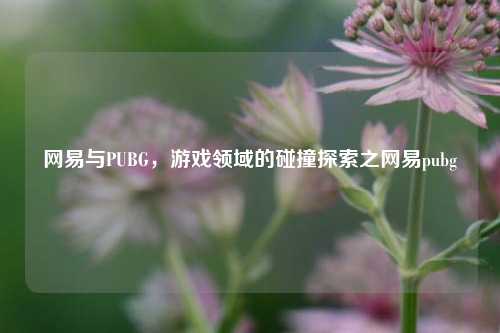 网易与PUBG,游戏领域的碰撞探索之网易pubg