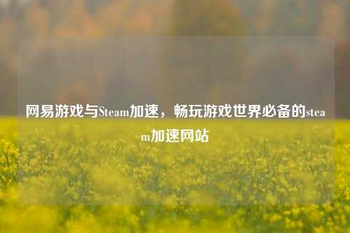 网易游戏与Steam加速，畅玩游戏世界必备的steam加速网站