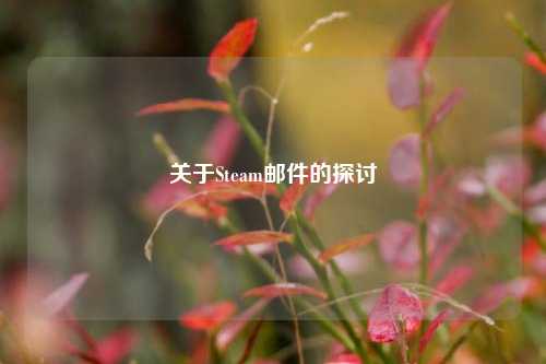 关于Steam邮件的探讨