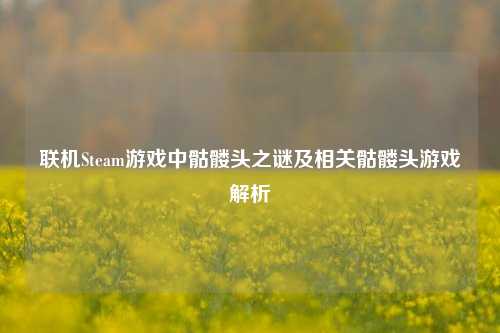 联机Steam游戏中骷髅头之谜及相关骷髅头游戏解析