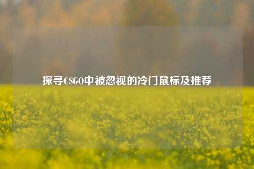 探寻CSGO中被忽视的冷门鼠标及推荐