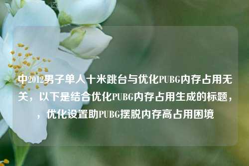 中2012男子单人十米跳台与优化PUBG内存占用无关,以下是结合优化PUBG内存占用生成的标题,,优化设置助PUBG摆脱内存高占用困境