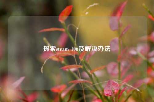 探索steam 106及解决办法