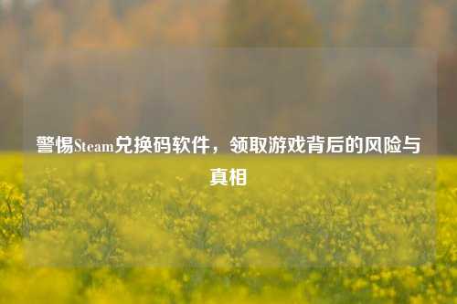 警惕Steam兑换码软件,领取游戏背后的风险与真相