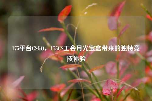 175平台CSGO,175CS工会月光宝盒带来的独特竞技体验