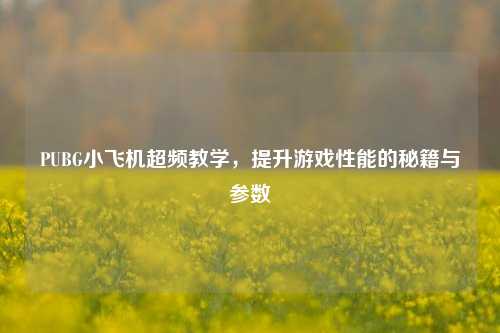PUBG小飞机超频教学,提升游戏性能的秘籍与参数