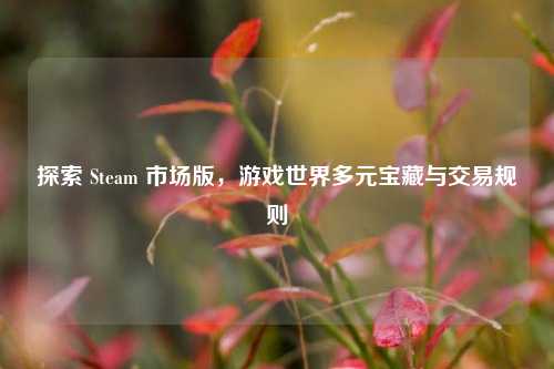 探索 Steam 市场版,游戏世界多元宝藏与交易规则