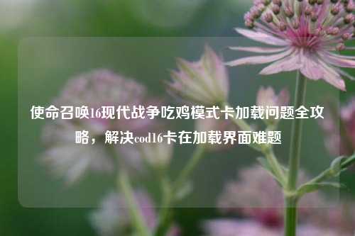使命召唤16现代战争吃鸡模式卡加载问题全攻略，解决cod16卡在加载界面难题