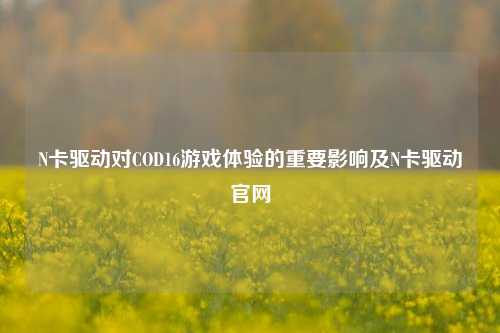 N卡驱动对COD16游戏体验的重要影响及N卡驱动官网