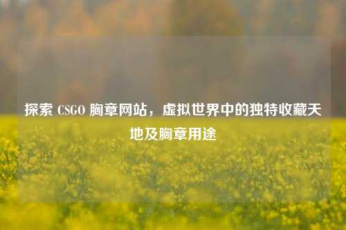 探索 CSGO 胸章网站，虚拟世界中的独特收藏天地及胸章用途