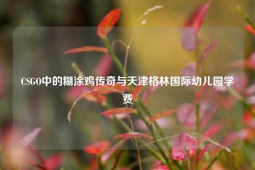 CSGO中的糊涂鸡传奇与天津格林国际幼儿园学费