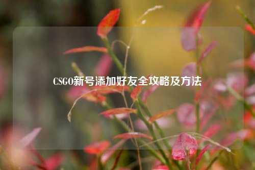CSGO新号添加好友全攻略及方法