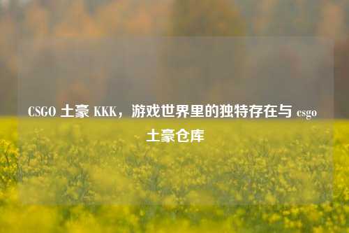 CSGO 土豪 KKK,游戏世界里的独特存在与 csgo 土豪仓库