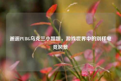 邂逅PUBG乌克兰小姐姐,游戏世界中的别样电竞风景