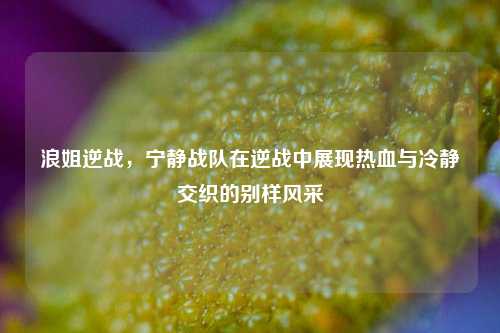 浪姐逆战,宁静战队在逆战中展现热血与冷静交织的别样风采