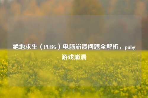 绝地求生（PUBG）电脑崩溃问题全解析，pubg游戏崩溃