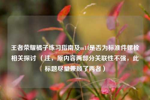 王者荣耀橘子练习指南及m14是否为标准件螺栓相关探讨 (注,原内容两部分关联性不强,此标题尽量兼顾了两者)