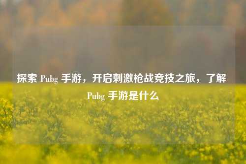 探索 Pubg 手游,开启刺激枪战竞技之旅,了解 Pubg 手游是什么