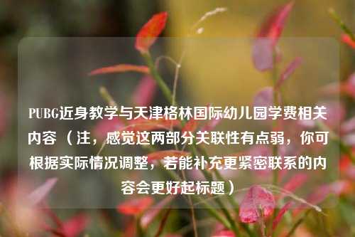 PUBG近身教学与天津格林国际幼儿园学费相关内容 (注,感觉这两部分关联性有点弱,你可根据实际情况调整,若能补充更紧密联系的内容会更好起标题)