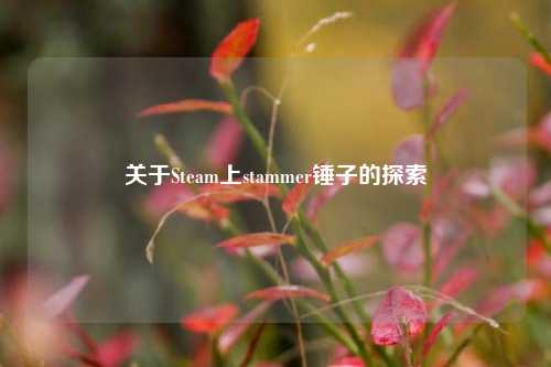 关于Steam上stammer锤子的探索