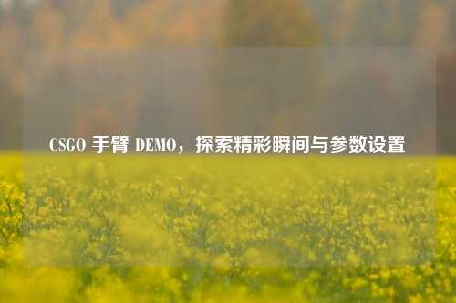 CSGO 手臂 DEMO，探索精彩瞬间与参数设置