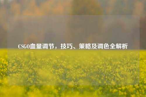 CSGO血量调节，技巧、策略及调色全解析