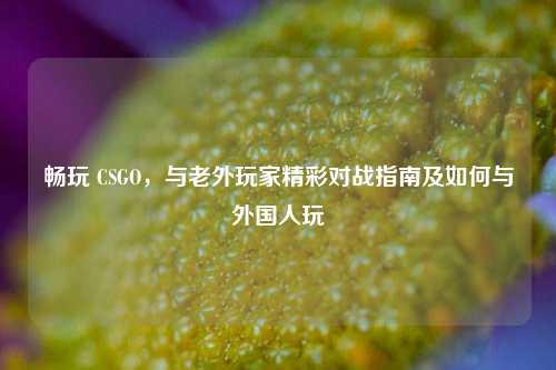 畅玩 CSGO,与老外玩家精彩对战指南及如何与外国人玩