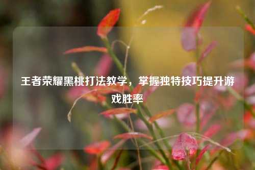 王者荣耀黑桃打法教学,掌握独特技巧提升游戏胜率