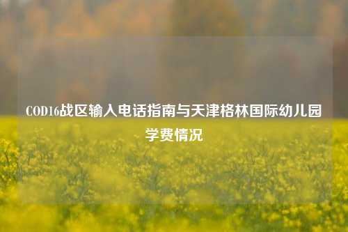 COD16战区输入电话指南与天津格林国际幼儿园学费情况