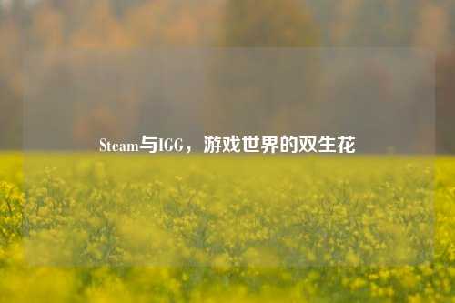 Steam与IGG，游戏世界的双生花