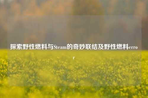 探索野性燃料与Steam的奇妙联结及野性燃料error
