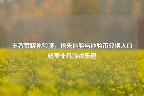 王者荣耀体验服，抢先体验与体验币兑换入口畅享非凡游戏乐趣