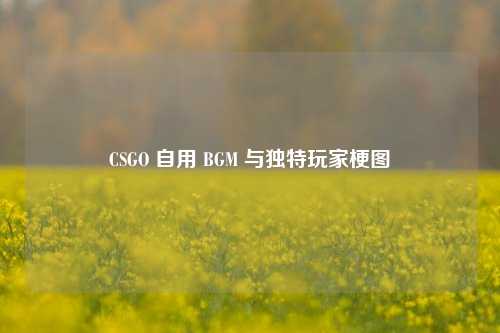 CSGO 自用 BGM 与独特玩家梗图