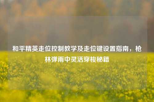和平精英走位控制教学及走位键设置指南，枪林弹雨中灵活穿梭秘籍