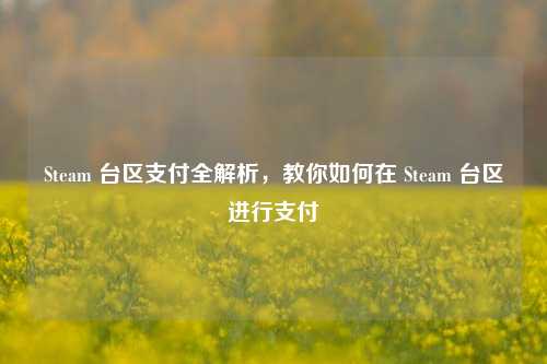 Steam 台区支付全解析,教你如何在 Steam 台区进行支付