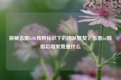 探秘五黑LOL独特标识下的团队默契，五黑lol前缀后缀究竟是什么