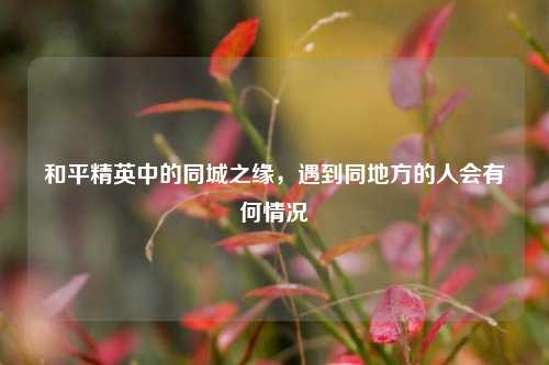 和平精英中的同城之缘，遇到同地方的人会有何情况