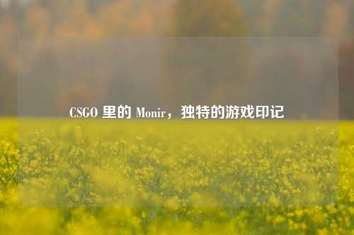 CSGO 里的 Monir，独特的游戏印记