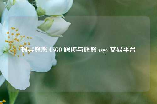 探寻悠悠 CSGO 踪迹与悠悠 csgo 交易平台