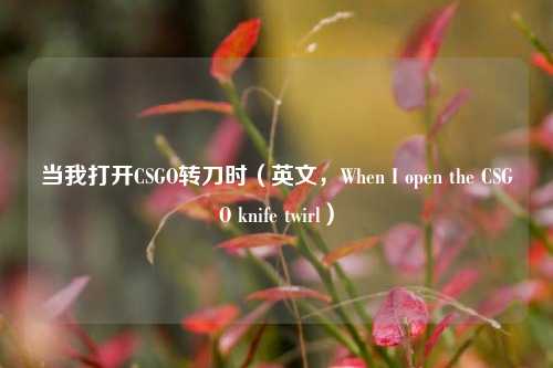 当我打开CSGO转刀时(英文,When I open the CSGO knife twirl)