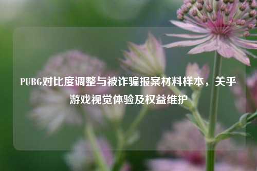 PUBG对比度调整与被诈骗报案材料样本,关乎游戏视觉体验及权益维护