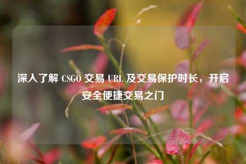 深入了解 CSGO 交易 URL 及交易保护时长，开启安全便捷交易之门