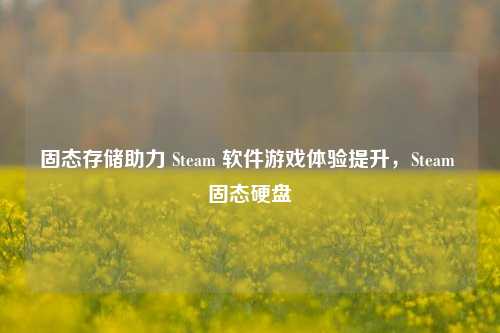 固态存储助力 Steam 软件游戏体验提升，Steam 固态硬盘