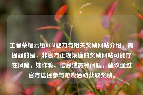 王者荣耀云缨BGM魅力与相关奖励网站介绍，需提醒的是，非官方正规渠道的奖励网站可能存在风险，如诈骗、信息泄露等问题，建议通过官方途径参与游戏活动获取奖励。