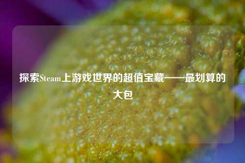 探索Steam上游戏世界的超值宝藏——最划算的大包