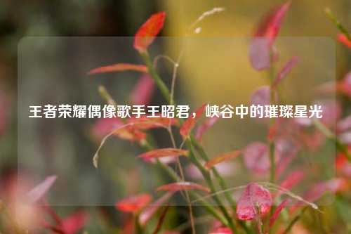 王者荣耀偶像歌手王昭君，峡谷中的璀璨星光