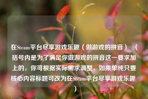 在Steam平台尽享游戏乐趣（做游戏的拼音）  （括号内是为了满足你做游戏的拼音这一要求加上的，你可根据实际需求调整，如果单纯只要核心内容标题可改为在Steam平台尽享游戏乐趣 ）